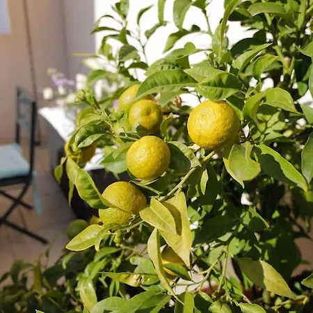 Casa vacanze Charmantes Haus Im Golf Club Tropez